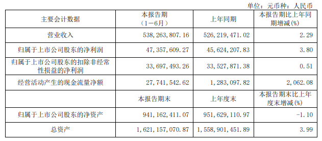 半年度财报