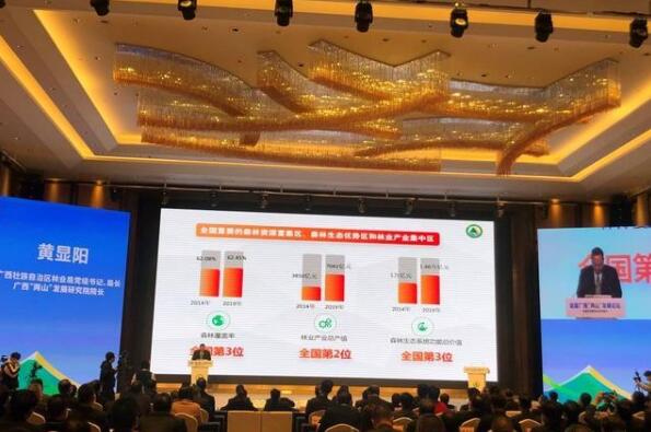 广西森林覆盖率稳居全国第三 木材产量全国第一
