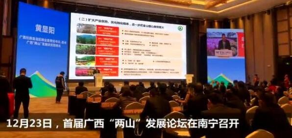 广西森林覆盖率稳居全国第三 木材产量全国第一