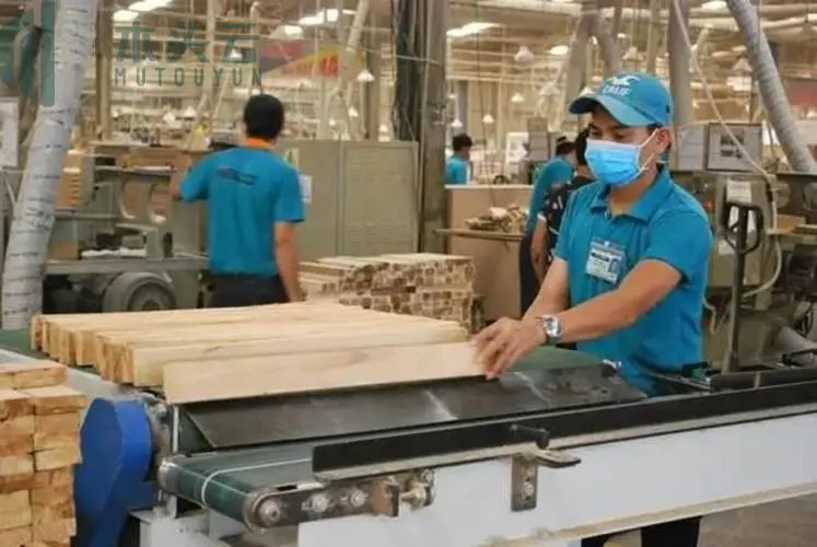 越南供应链“破损”严重 东南亚最大家具代工厂受冲击全线停工