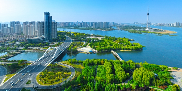 链条化发展再造临沂传统产业新优势 落地生根做强产业链集群圈