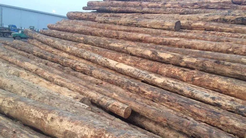 俄乌开战大宗商品持续高位 木材价格走势仍存变数！