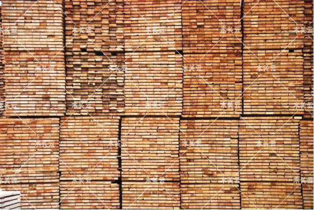 全球进口俄木材数量大幅下降 林产品国际贸易流动受影响