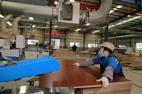 2022年来宾木材加工业总产值预计211亿以上！