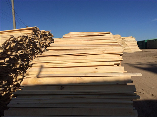 欧盟扩大制裁 提议禁止进口俄罗斯木材