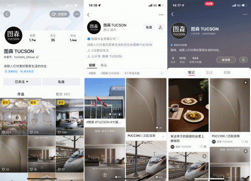 图森木业：率先迈入短视频营销时代 终端旗舰店账号覆盖率98%