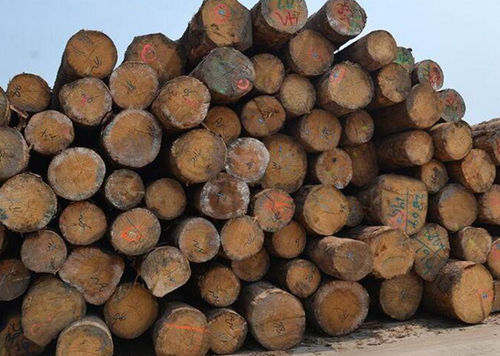 木材加工企业订单利润下滑 降幅超40%！