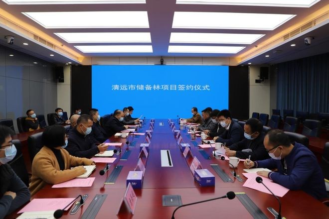 规划投资约19亿！广东清远市正推进国家储备林建设