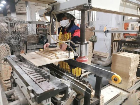 政府倾力协助 南康家具产业蓬勃发展