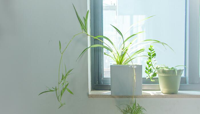 系统门窗是是什么？优势有哪些