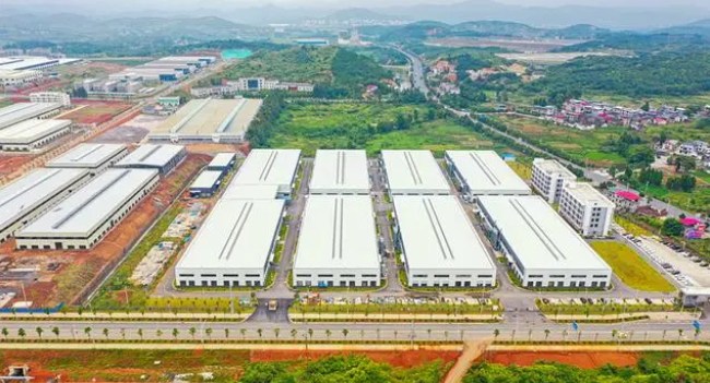湖南桂阳：一键下单全屋定制 让家居全产业链“破圈”