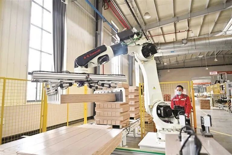 柳州2025第一季度林木加工规上企业突破310家！