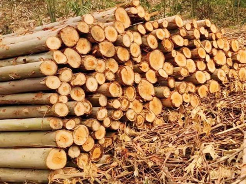 浙江举办林业数字化专题培训深化融合创新 加快推进全省林业数字化建设