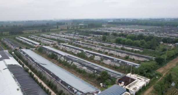 临沂兰山 “合木未来” 片区打造高端板材家具产业链