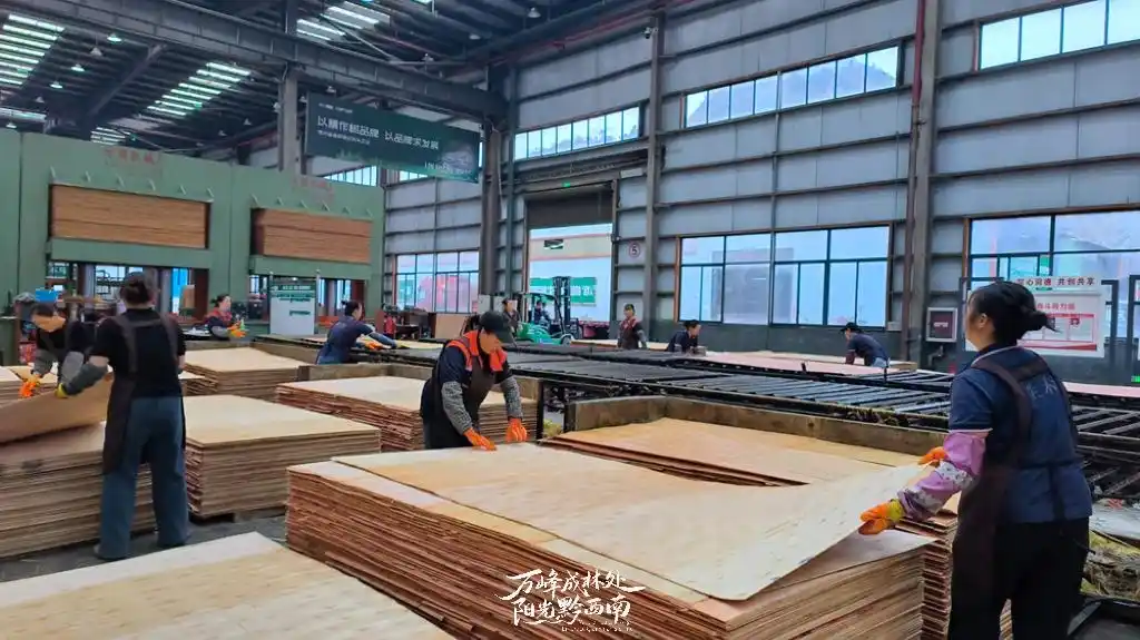 黔西南板材叩开东南亚市场大门 15天完成首单出口！