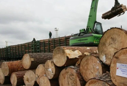 2026年俄罗斯林业产量或跌30% 行业已进入“下行趋势” 2026年俄罗斯林业产量或跌30% 行业已进入“下行趋势”