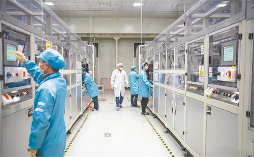 2025年福建平潭发展业绩分化 全国“林板一体化”布局提速