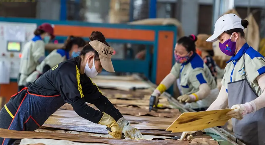 越南木材对中国出口“六连”暴涨 最高涨幅55.6%！