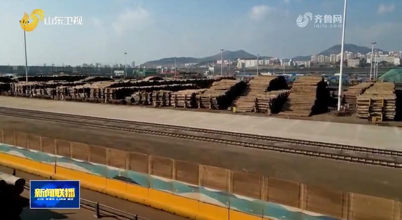 日照木材产业迈向国际交易中心 百亿级产业集群崛起！