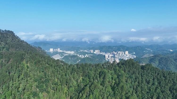 贵州三都森工企业赶单忙 目标2035年70亿产值！