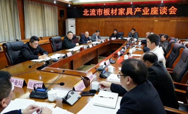 广西北流板材家具产业座谈会召开 向规范化、健康化、绿色化方向迈进