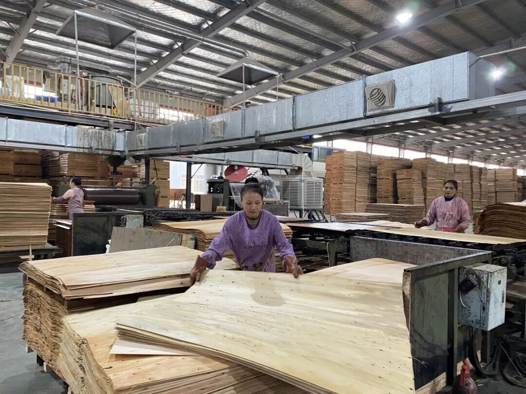 32.87亿产值！象州木材加工产业焕发新活力！