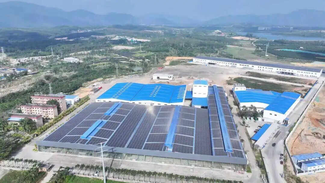 海南屯昌年进口9000吨澳洲原木 加快推进林木精深加工产业