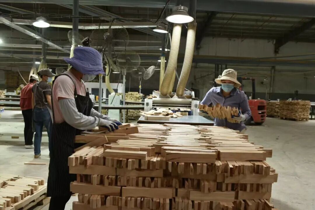 海南屯昌年进口9000吨澳洲原木 加快推进林木精深加工产业