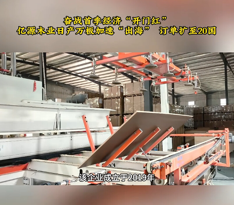 菏泽木业企业锚定高端化与全球化赛道 推动行业高质量发展