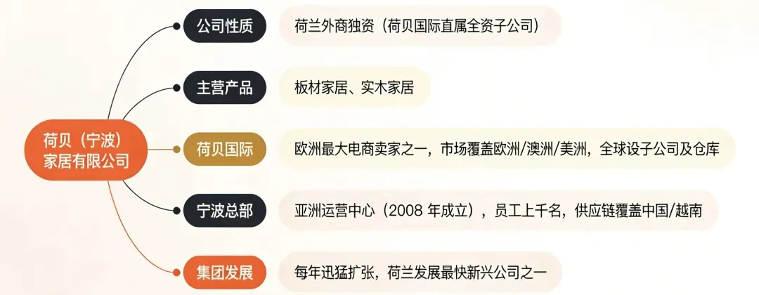 跨境电商领军企业 | 荷贝家居启动数夫数字化项目！