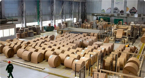 出口破千万！广西壮象木业提质增效显实效