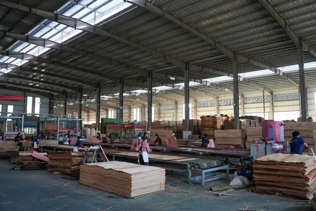 云南西盟木业跑出加速度 小作坊逆袭规上企业！