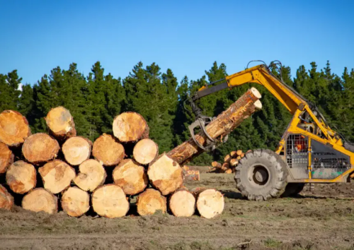 美国3月2日起对中国硬木胶合板征收高额关税