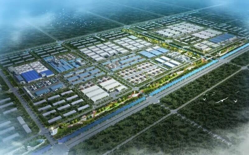 河北沧州打造“港产园一体化”木材全产业链体系 河北沧州打造“港产园一体化”木材全产业链体系