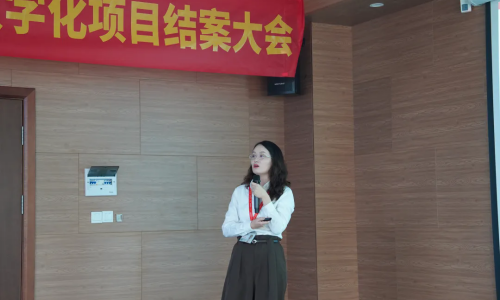 宜家核心供应商再提速!东莞时兴家具数字化项目圆满结案 宜家核心供应商再提速!东莞时兴家具数字化项目圆满结案