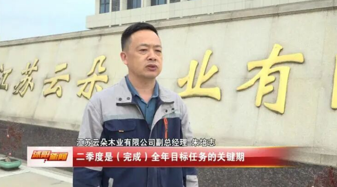 沭阳木业2026年第一季度产值近3500万 力争二季度产值实现4000万