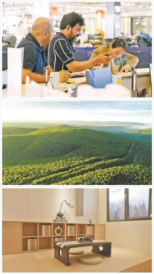 广东家具产业链靠什么“链”动全球？