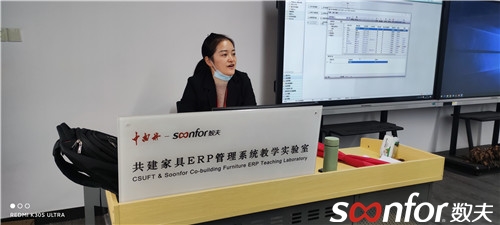数夫软件韩顾问