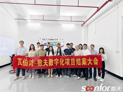 跨境家居电商新秀 | 瓦伯诗-数夫数字化项目结案！