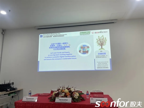 马来西亚HeveaPac × 中国数夫软件：打造跨国家居智造新范式！