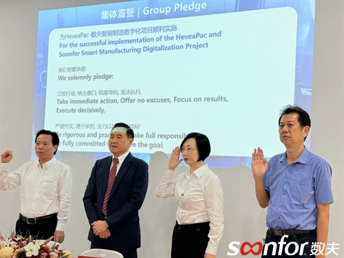 马来西亚HeveaPac × 中国数夫软件：打造跨国家居智造新范式！